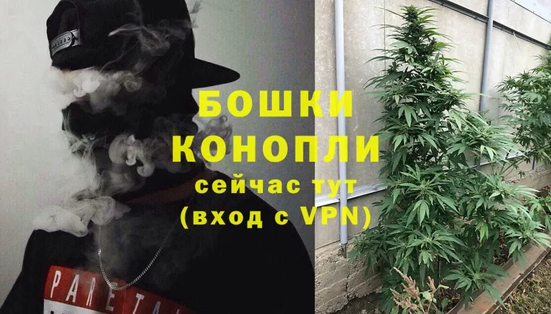 Каннабис White Widow  Высоцк 